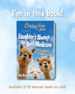 Laughter's Always the Best Medicine Chicken Soup fore the Soul Book cover